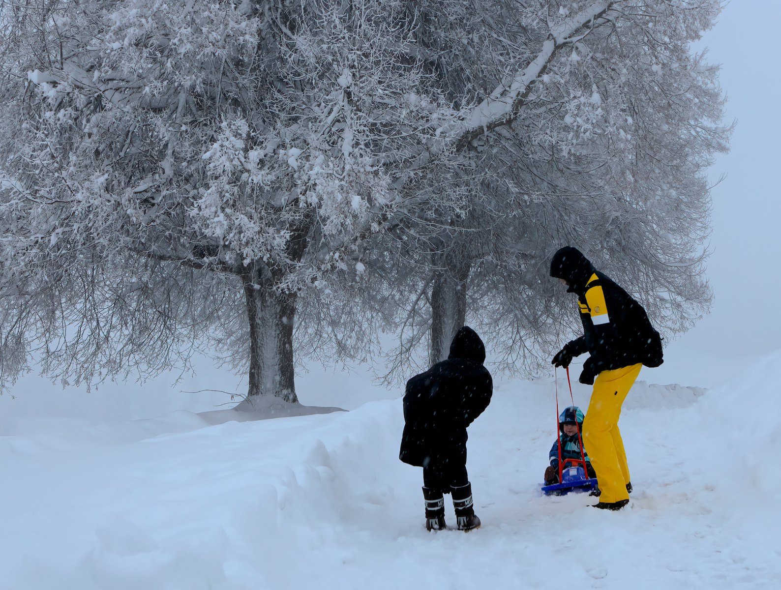 5 winter ideas to enjoy outdoors with the family