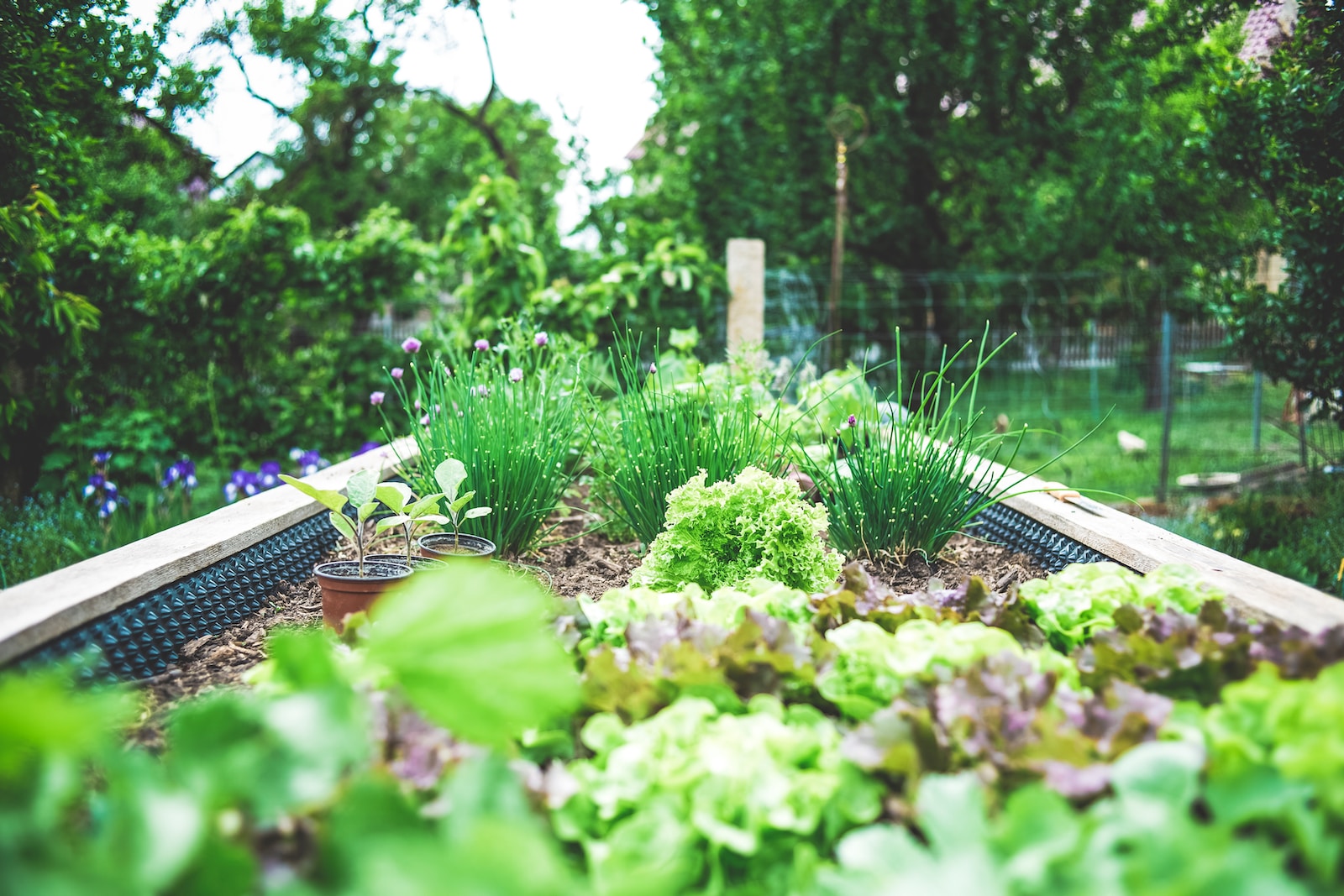 Putting Your Vegetable Garden To Bed
